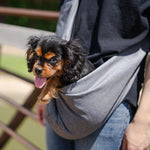 Mesh Pet Sling by Lof – Hands-Free Carrier for Pets up to 15 lbs