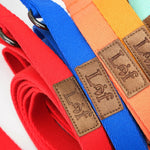 Lof folding dog leash, adjustable 6 to 10 ft