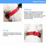 Lof everyday dog collar with quick-release buckle