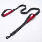 NuVora Reflective Dog Leash