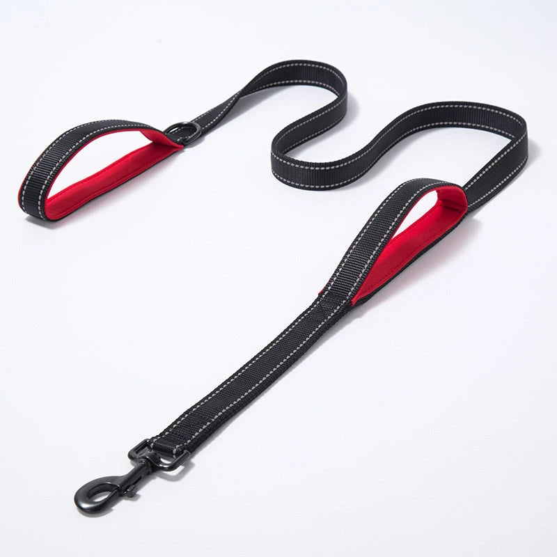 NuVora Reflective Dog Leash