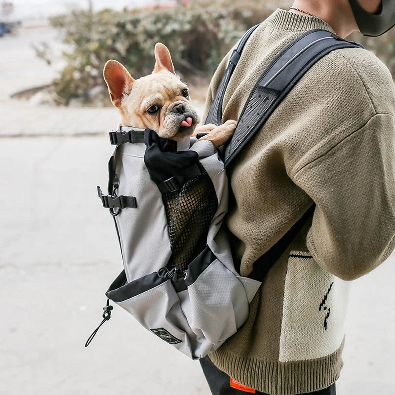 Adventure Backpack by Amelia Nest – Pet Travel Carrier