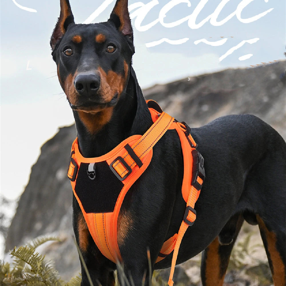 NuVora Everyday Dog Harness – Padded & Adjustable with Back Handle