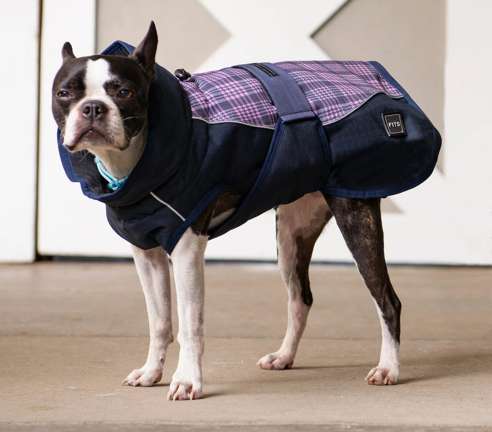 All Weather Dog Coat by FITS – Waterproof, Insulated & Reflective