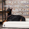 Luxury Orthopedic Dog Bed by Wasatch Pup – Memory Foam, Washable & Waterproof
