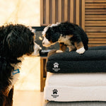 Luxury Orthopedic Dog Bed by Wasatch Pup – Memory Foam, Washable & Waterproof