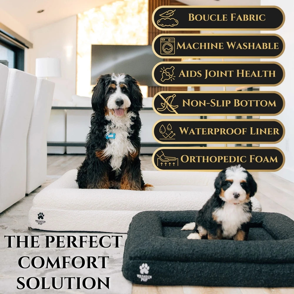 Luxury Orthopedic Dog Bed by Wasatch Pup – Memory Foam, Washable & Waterproof