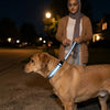 NuVora Halo Collar – USB Rechargeable LED Dog Collar