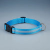 NuVora Halo Collar – USB Rechargeable LED Dog Collar