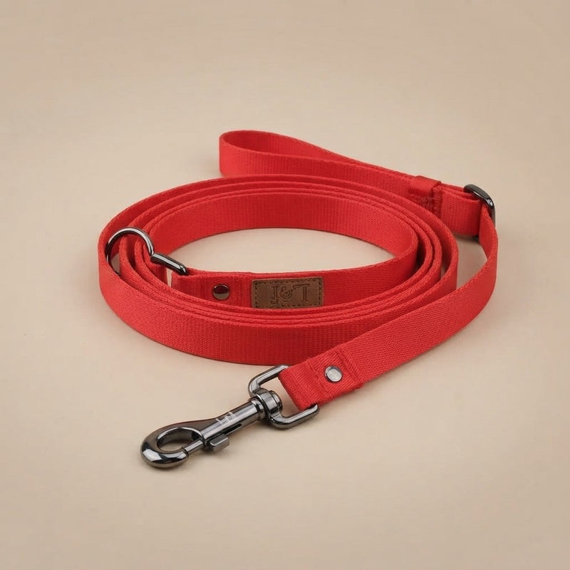 Lof folding dog leash, adjustable 6 to 10 ft